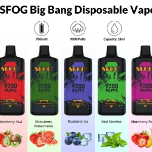 SFOG BIG BANG 9K Züge Einweg E Zigarette Wiederaufladbar Nikotinfrei