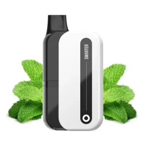 Smarter S6000 Kit – Super Menthol 20mg