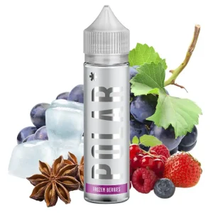 TNT Vape – Frozen Berries (Longfill, 60 ml, Fruchtig, Frische)