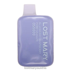 Verlorene Mary OS5000 Blaubeer-Himbeer-Granatapfel- Lost Mary Vape Geschmack 24NB83