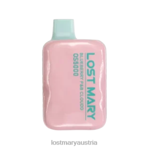 Verlorene Mary OS5000 Blaubeer-P&B-Wolke- Lost Mary Vape Sorten 24NB17
