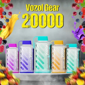Vozol Gear Power 20000