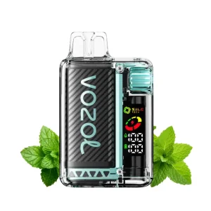Vozol Vista 20000 Miami Mint kaufen | 20K Vape Deutschland