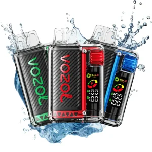 VOZOL Vista 20K Züge Einweg E Zigarette Dual Mesh Digital Display