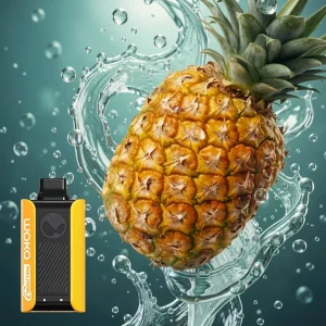 WAKA SoPro 10000 Züge DUALMESH Ananas-Melone