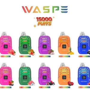 WASPE Digital Box 15K Züge Einweg E Zigarette Digital Display