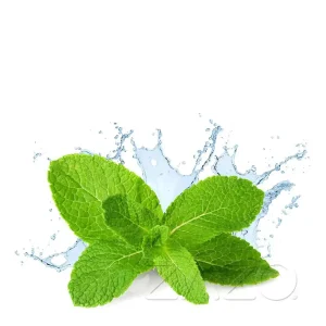Zazo Fresh Mint E-Zigaretten Liquid